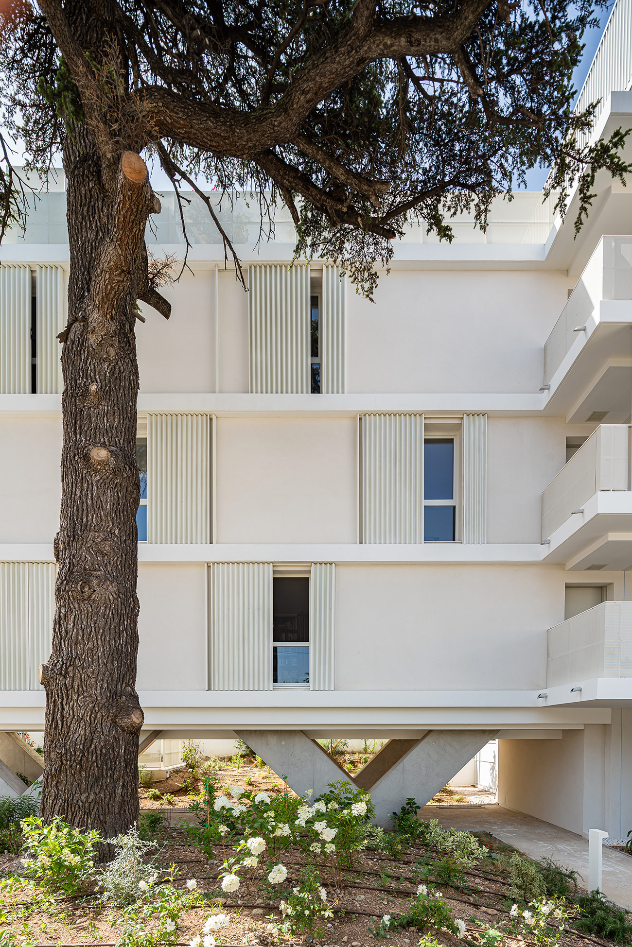 Village vertical - CEDRE BLANC | Architecte Marseille